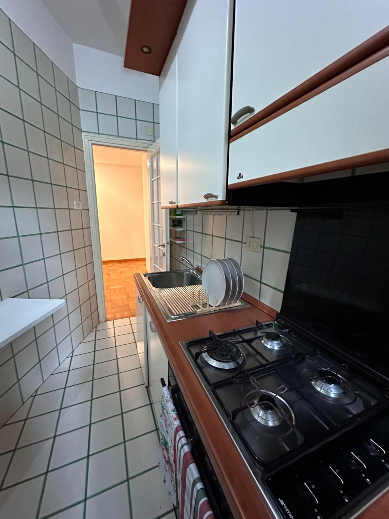 Apartment The Sereno-3 *